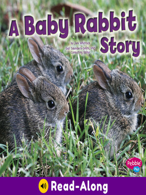 cover image of A Baby Rabbit Story